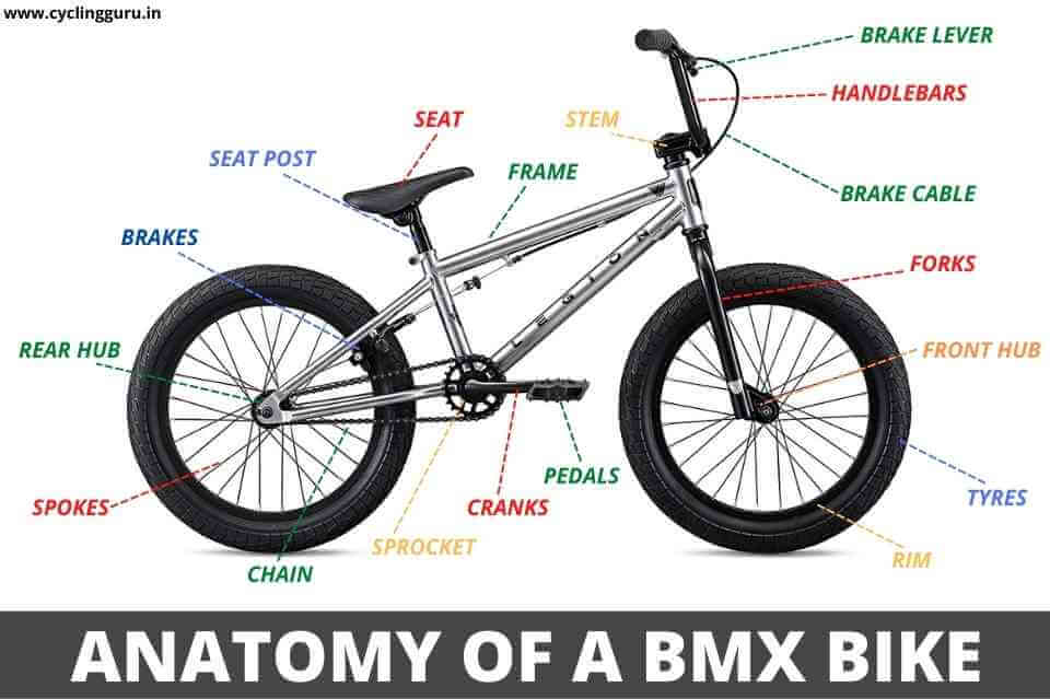 anatomy of a bmx bike