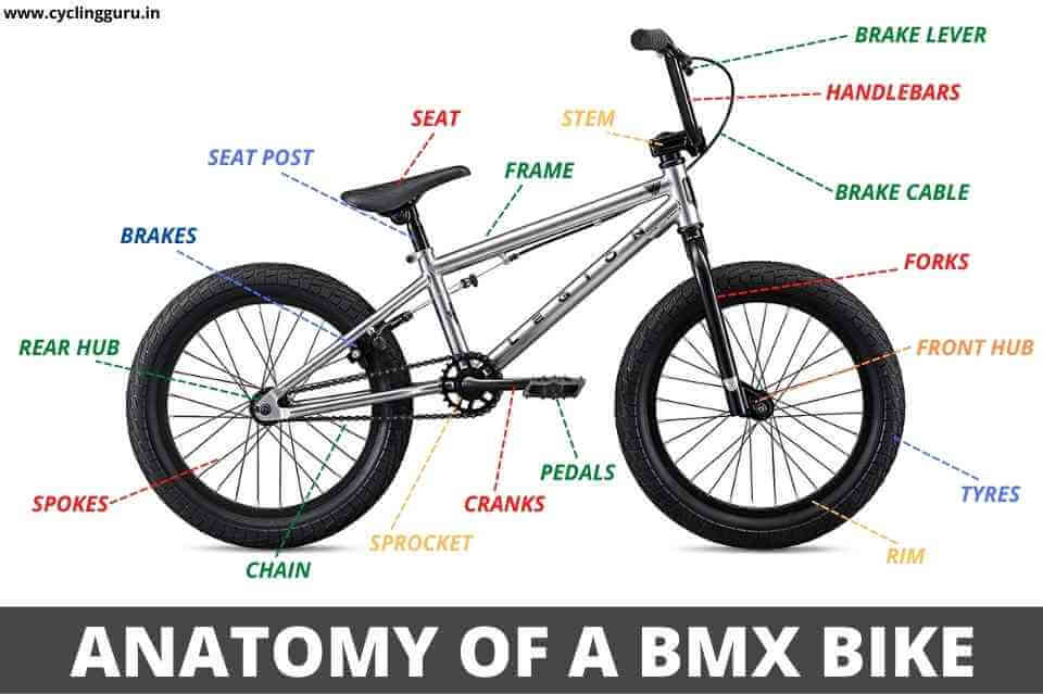 Different best sale bmx bikes