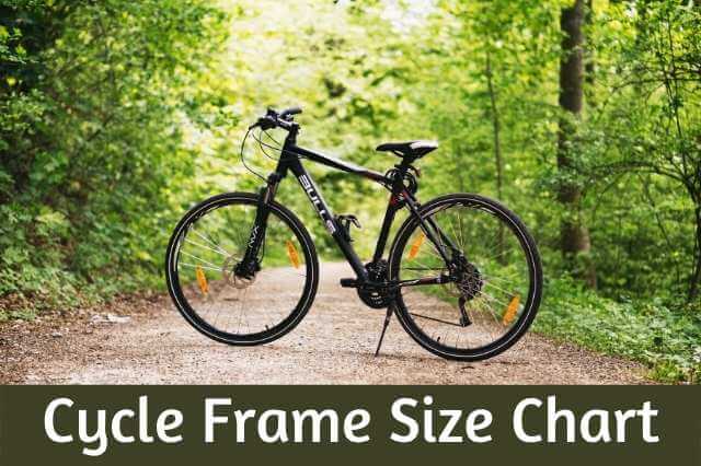 Cycle frame size chart India