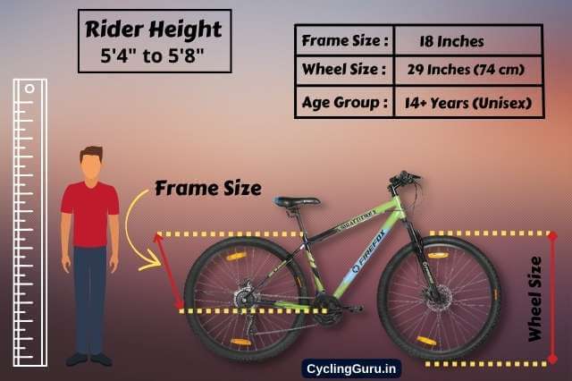 Firefox Bikes Unisex Bad Attitude Sizing Guide