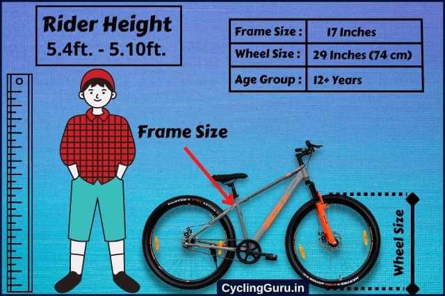 Vector 91 defeatr 29 inches bicycle frame size chart