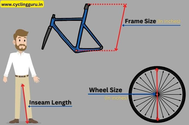 Measure your size for 26t bicycle