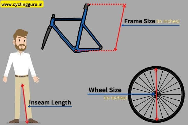 Frame size bike online meaning