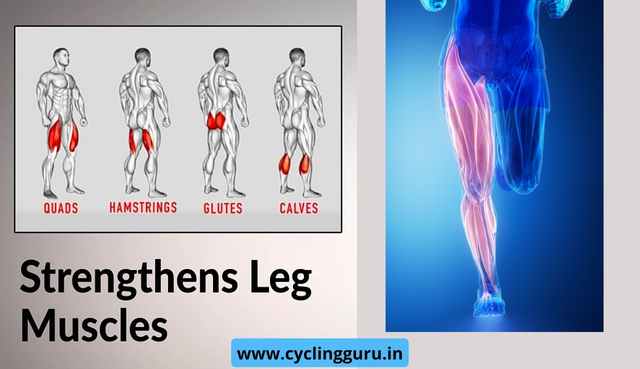 cycling builds leg muscles