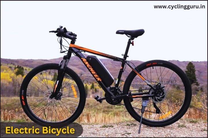 Electric Bicycle