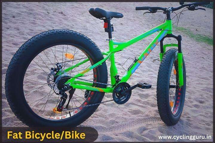 Fat Bike