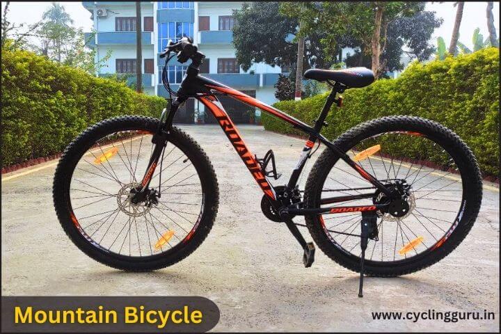 Mountain Bicycle